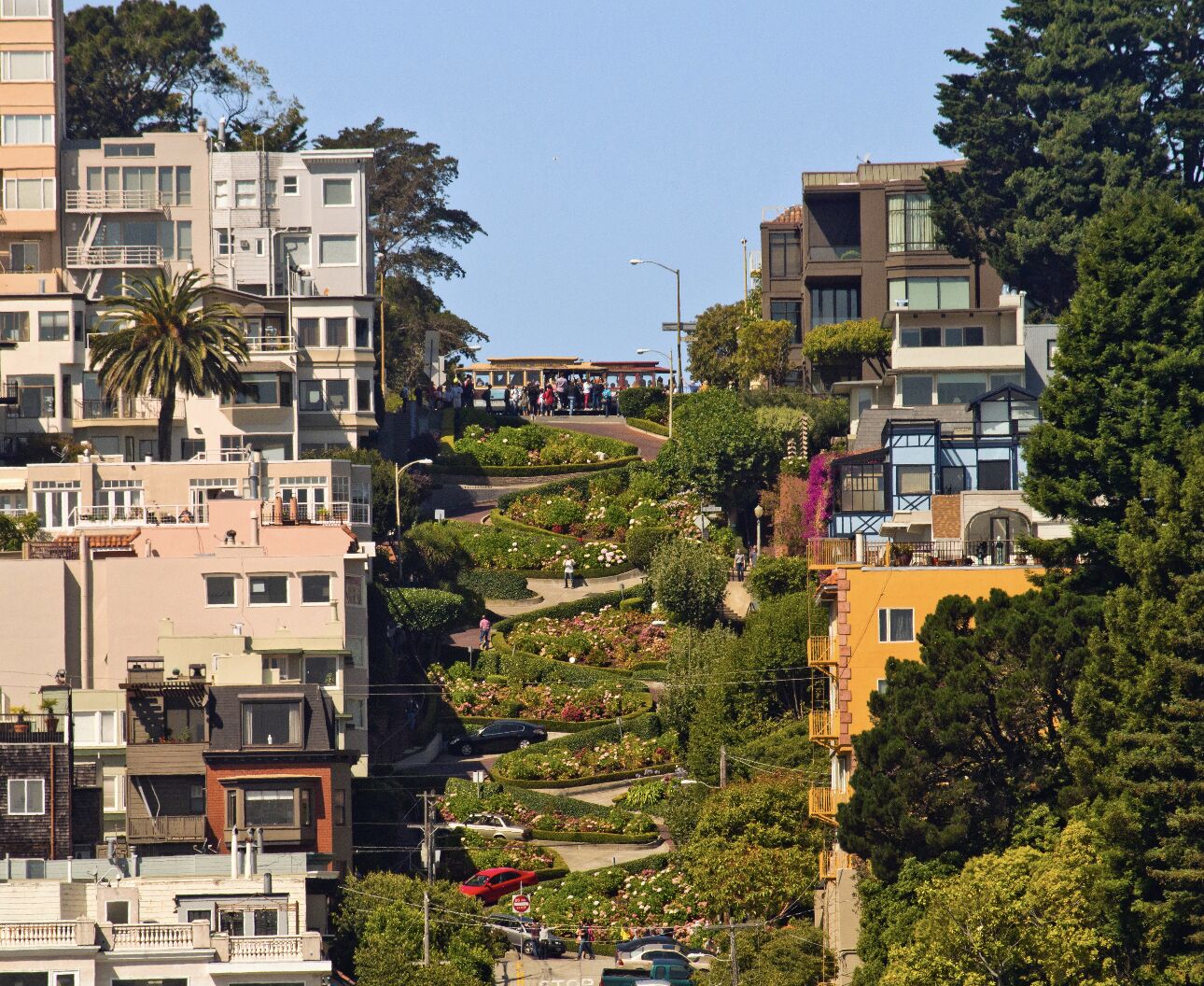 A hillside residential area with modern buildings, a winding road, and lush greenery.
