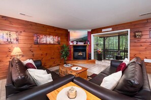 Télévision, cheminée, jeux vidéo, lecteur de DVD