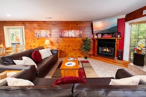 Fernseher, Kamin, Videospiele, DVD-Player