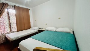 Basic Room | WiFi (free) - Hostal Nuevo Arenal  (Arenal)