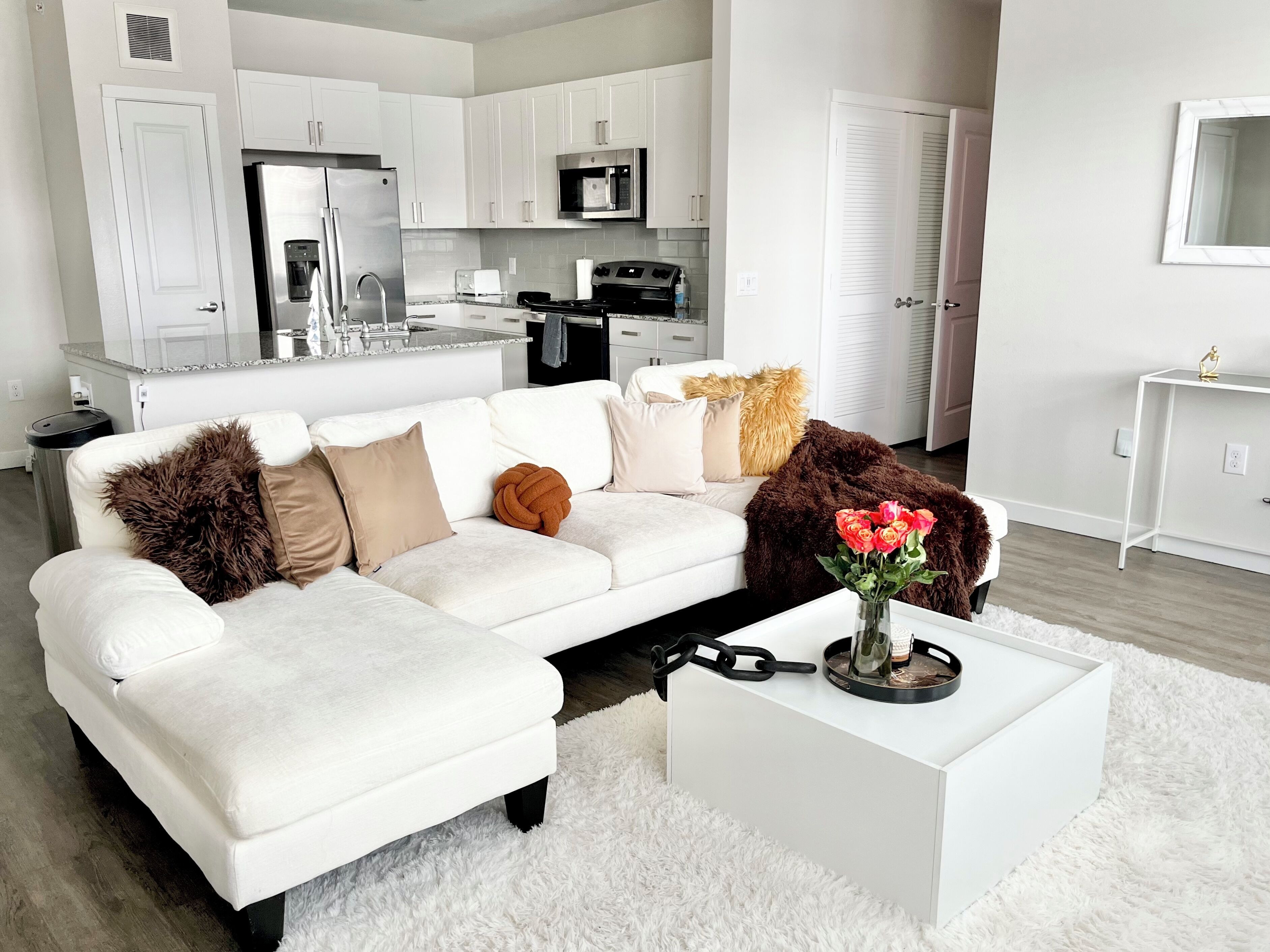 Luxury Apartment Near NRG Stadium!