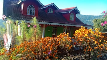Exteriör