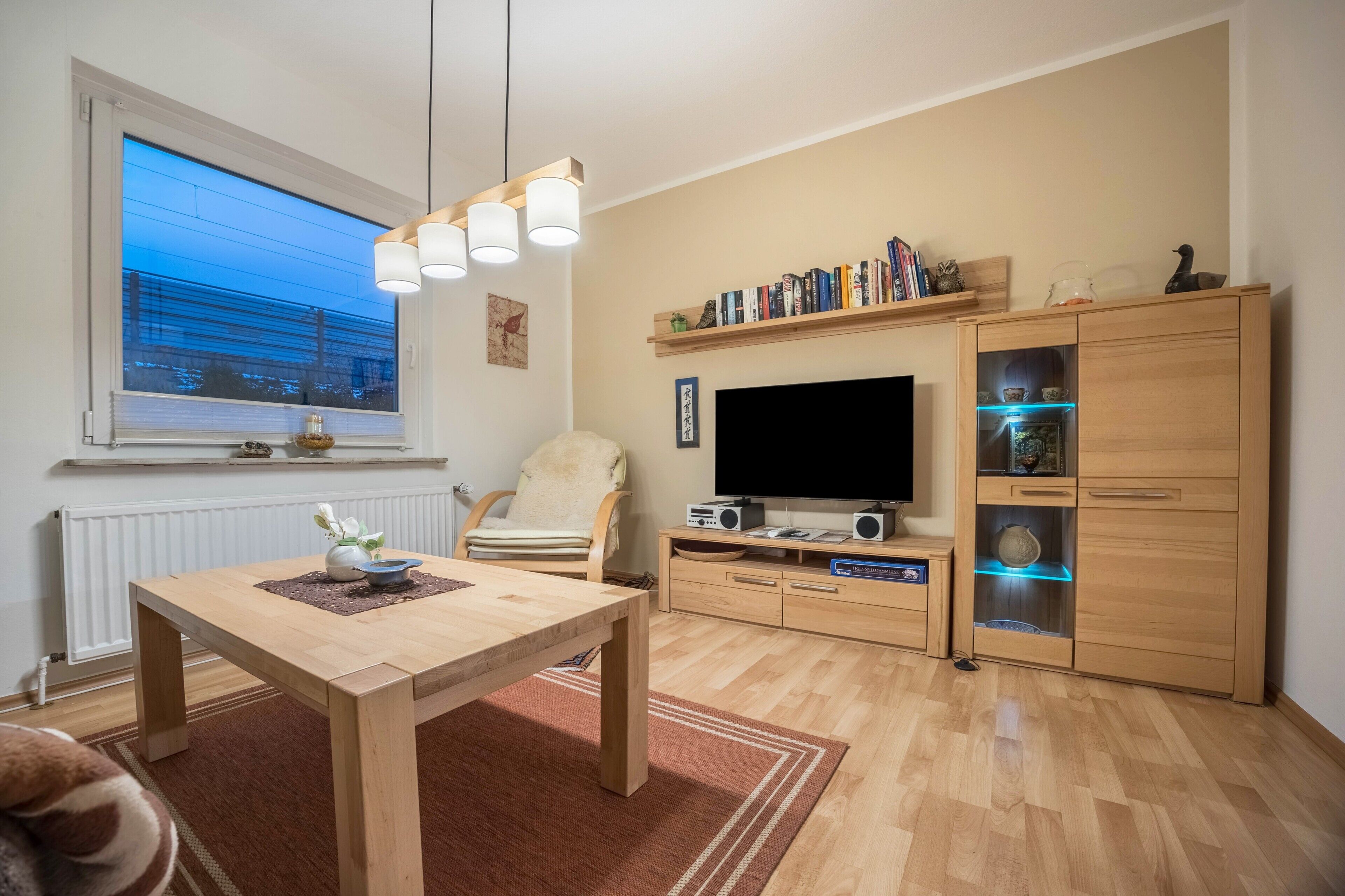 Fernseher