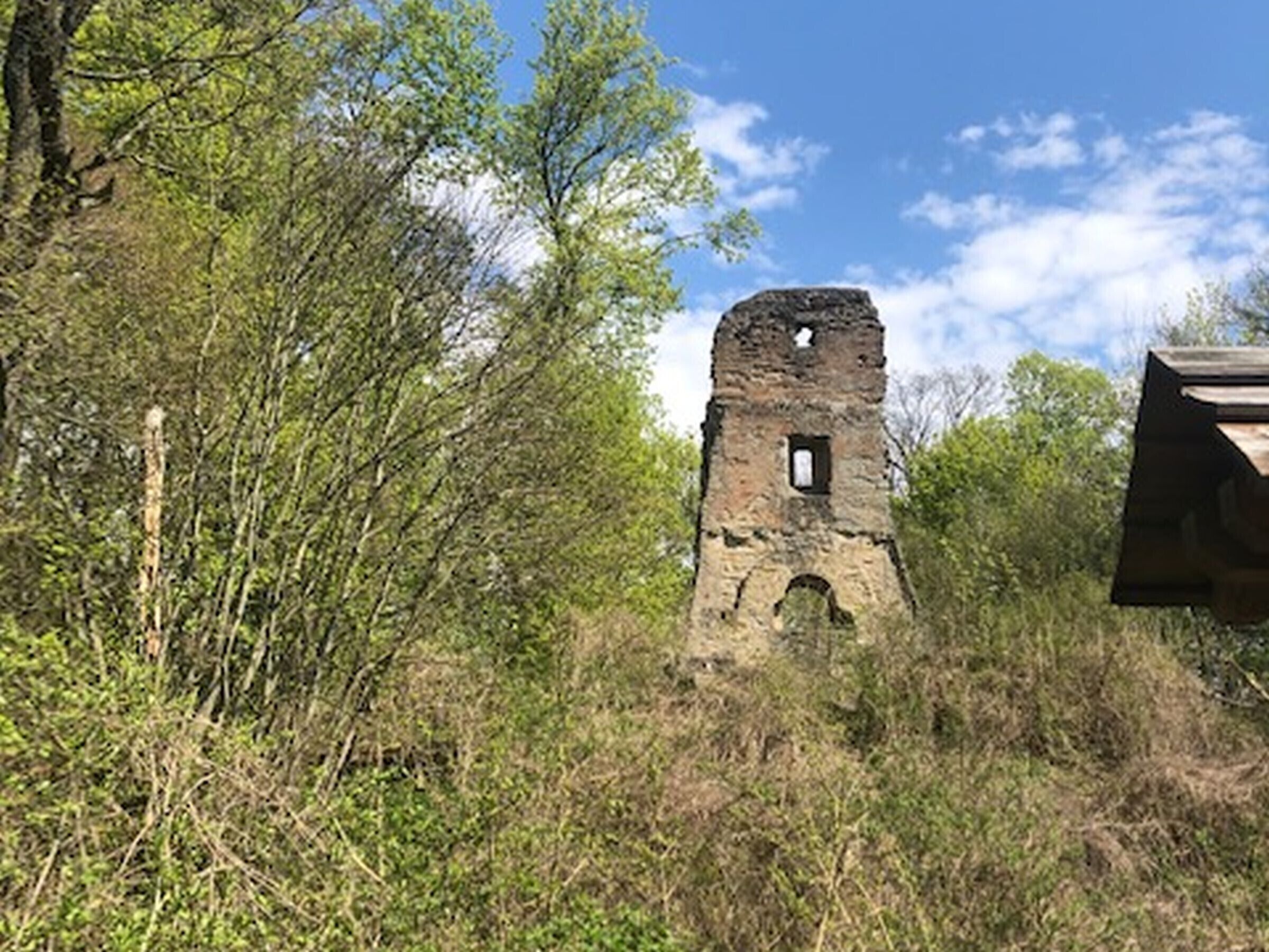 Una torre de piedra alta y esbelta rodeada de abundante vegetación.