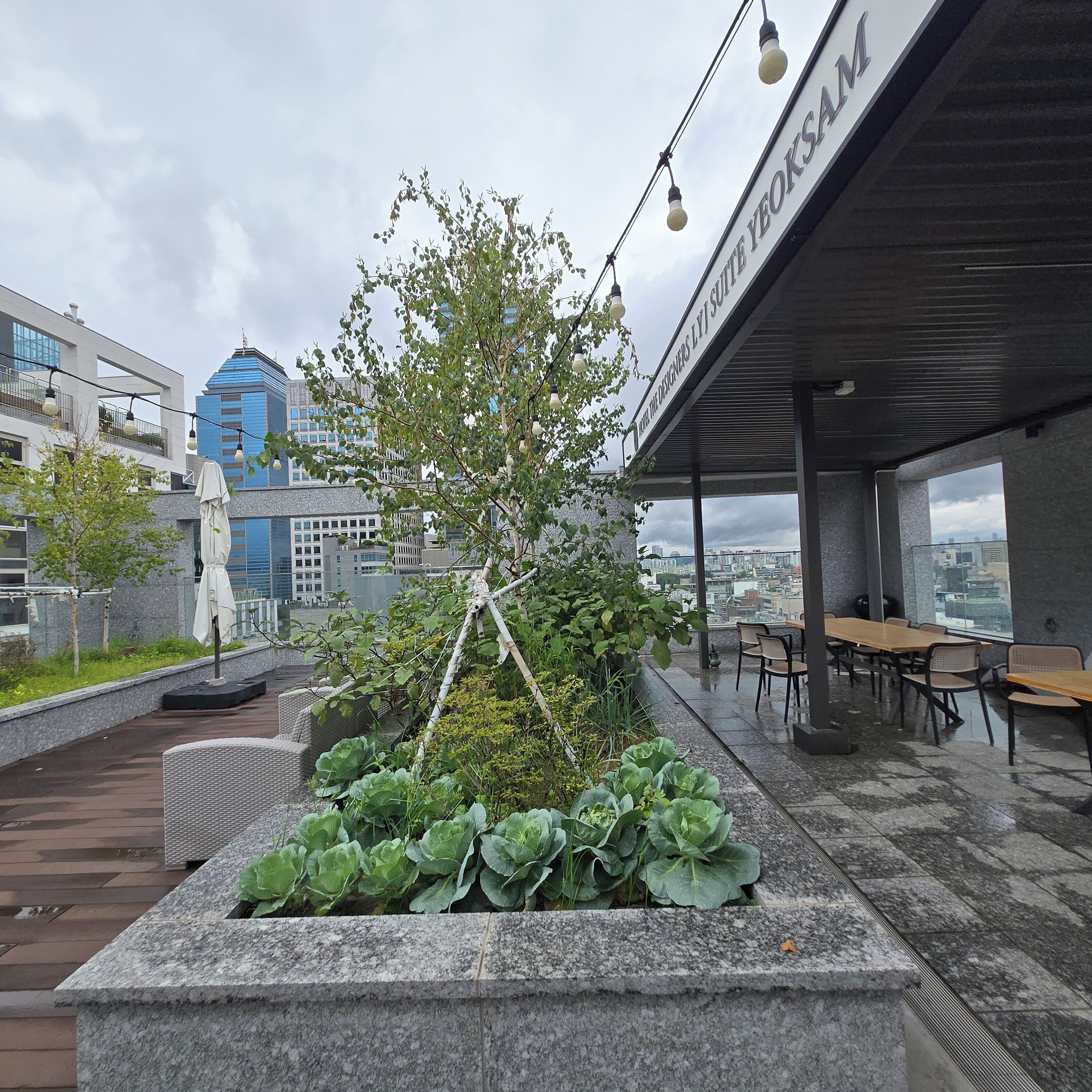 Un espacio al aire libre con vistas a la ciudad, que incluye una jardinera de piedra con follaje y un edificio moderno con un letrero.