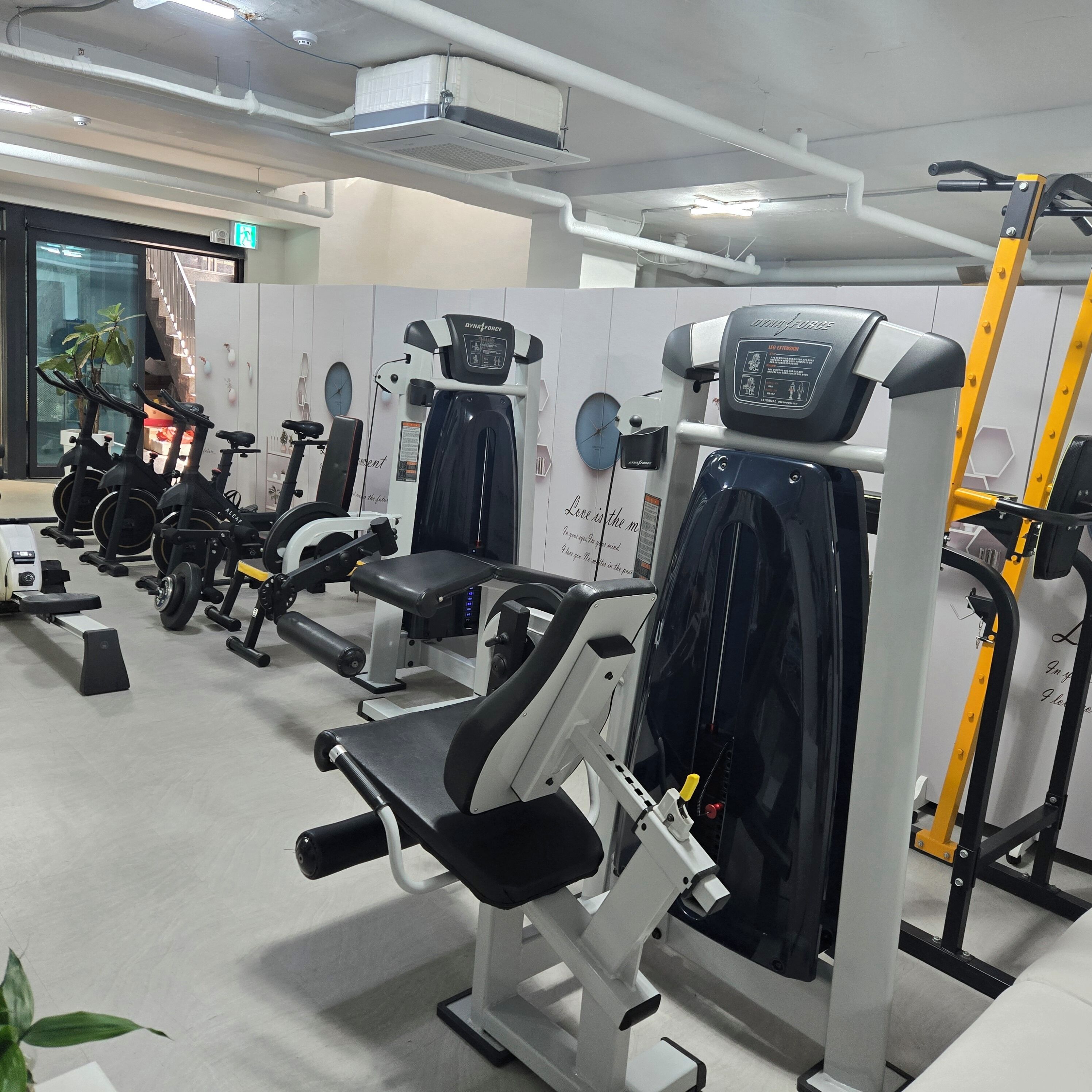 A gym with various exercise machines, a clock, and a plant.