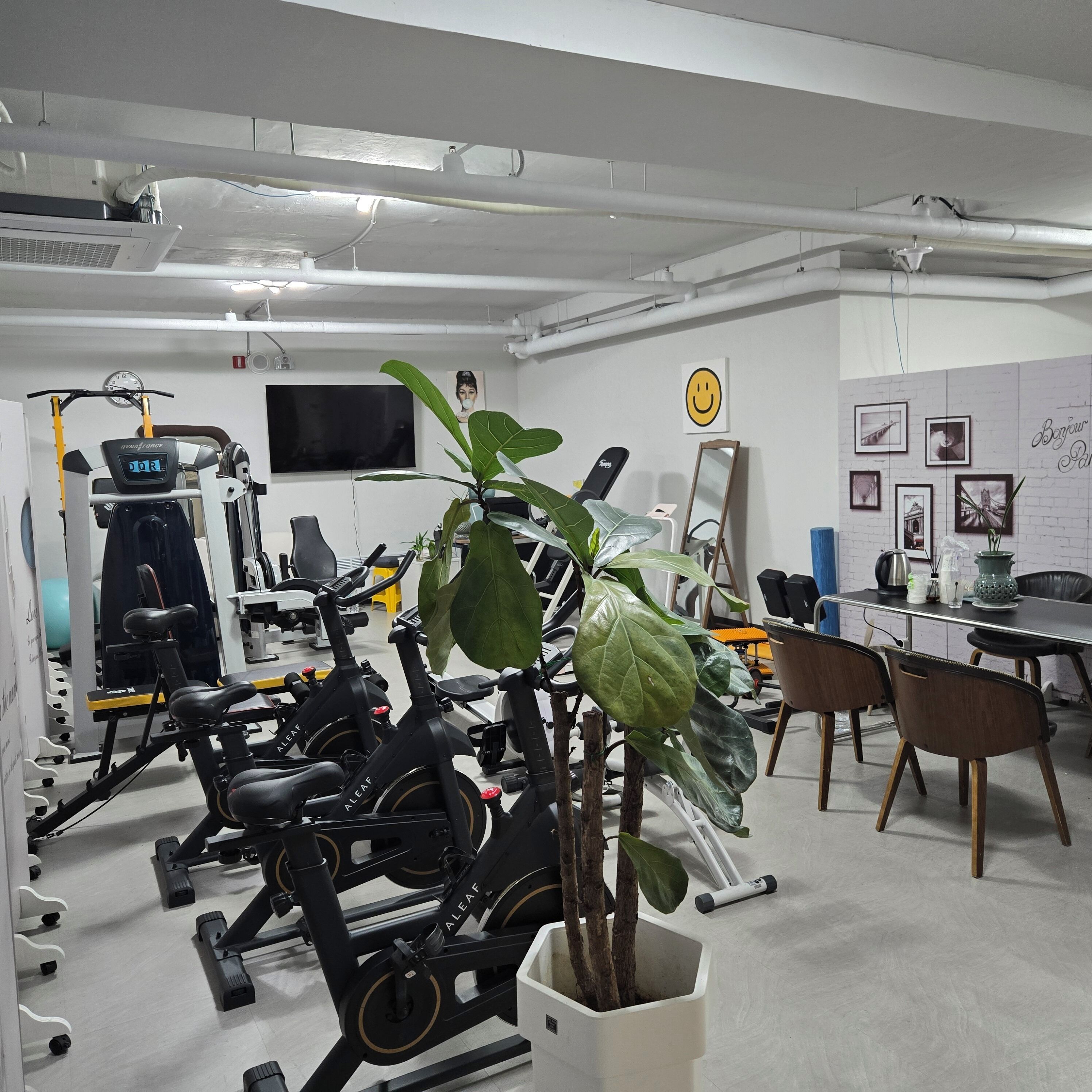 A gym with exercise equipment, a TV, and a dining area with chairs and a table.