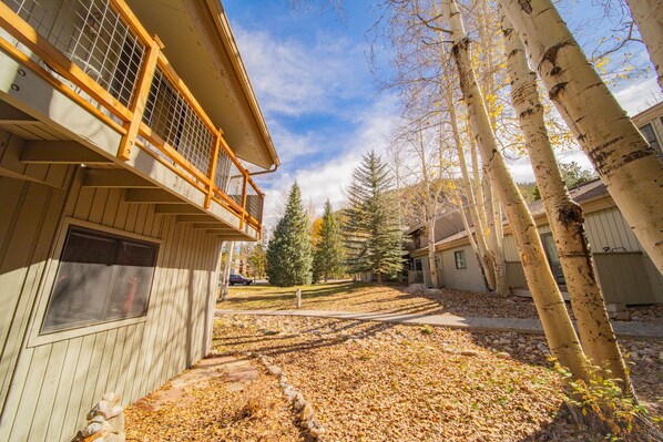 콘도 (Flying Dutchman 1192) | 외관