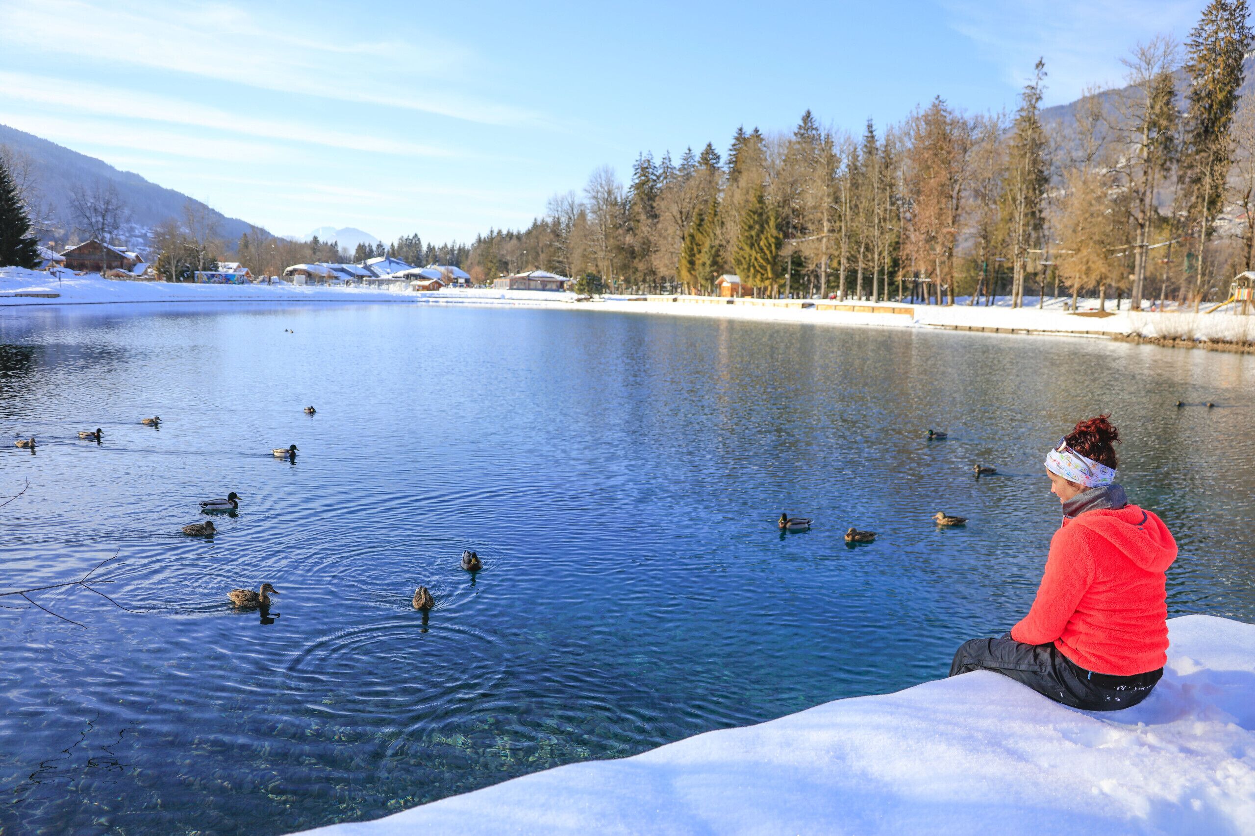 A person sitting on a snow-covered edge of a lake with ducks swimming in the water.