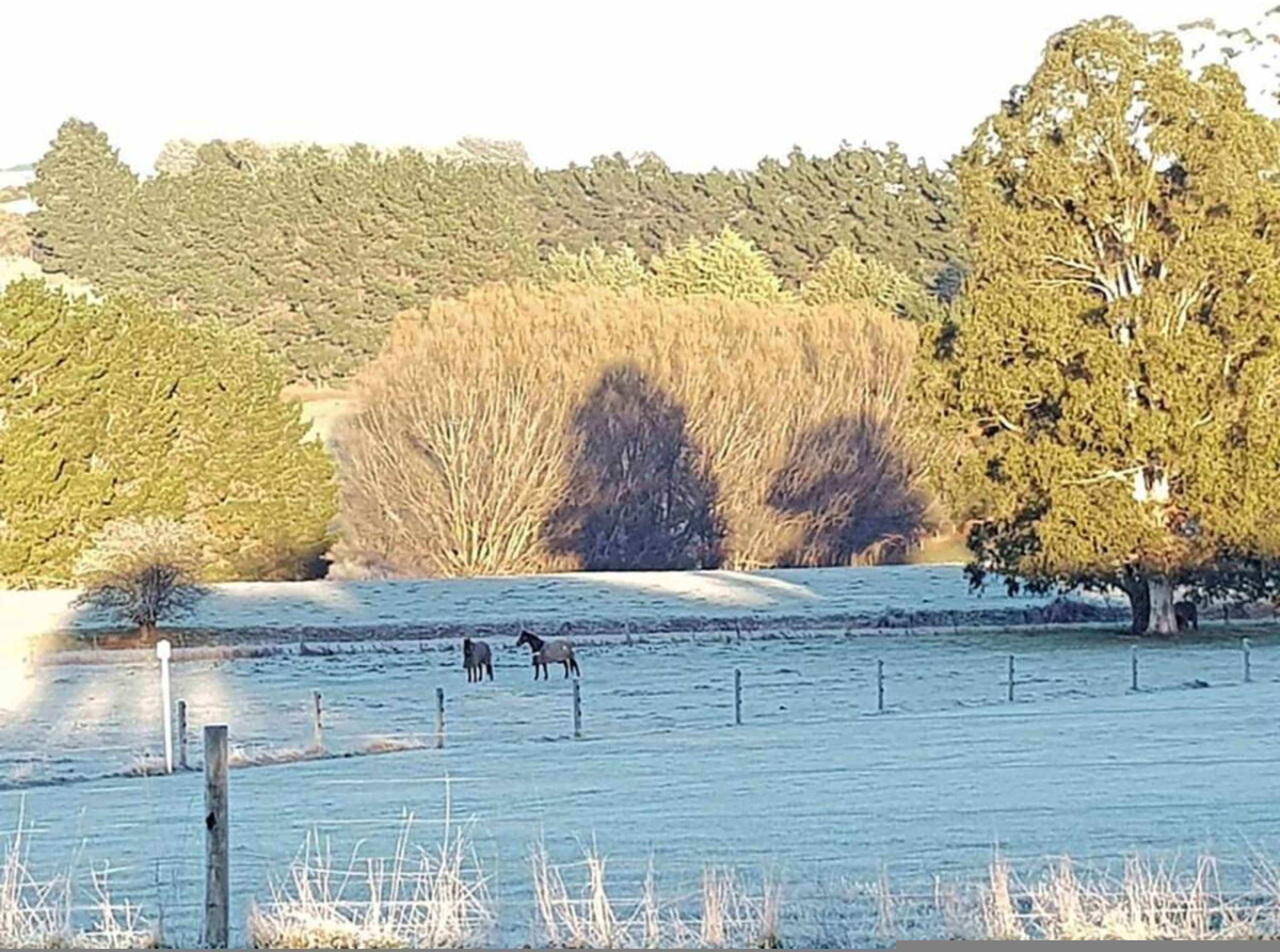 아파트 | 4 개의 침실, 책상