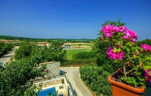 Unclassified image, 5 of 38, button