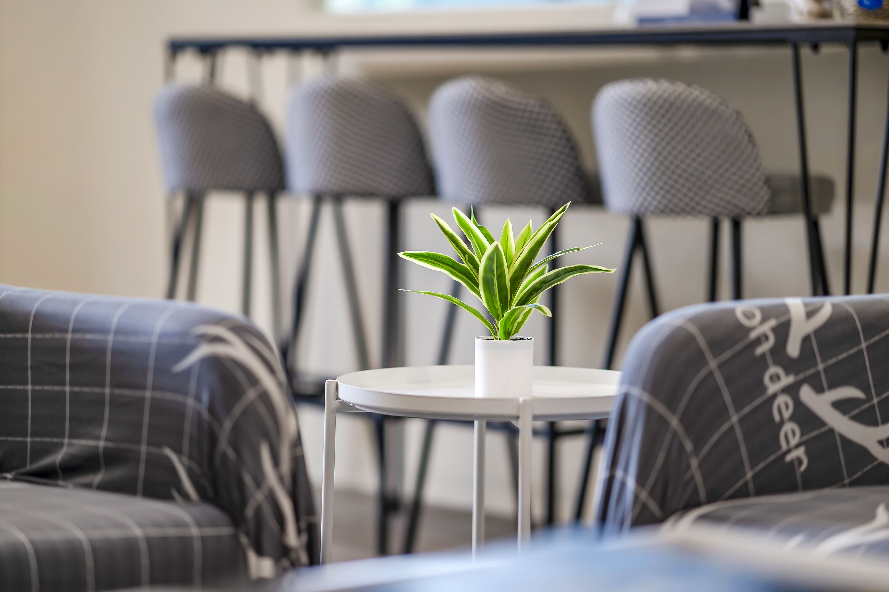 A modern living room with a round white table, a potted plant, and grey upholstered sofas.