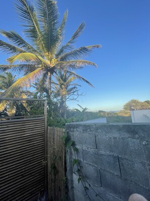 Property grounds - 2 Bungalows Pouvant Être Loués Ensemble ou Séparément à Proximité de la Plage (Le Moule)