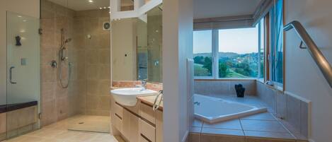 Shower, hair dryer, bidet, towels