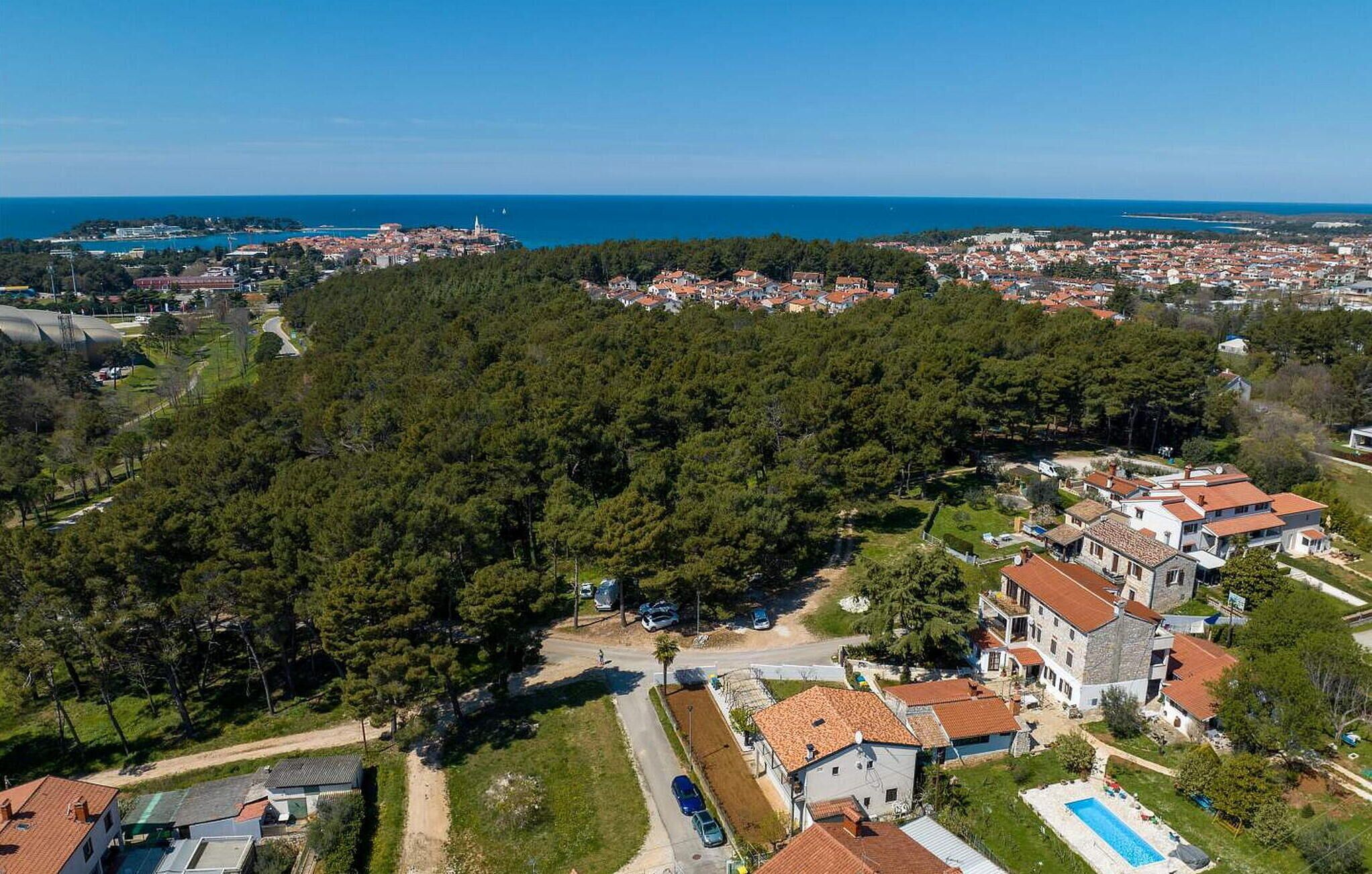 An aerial view of a residential area with houses, a swimming pool, and a dense forest.