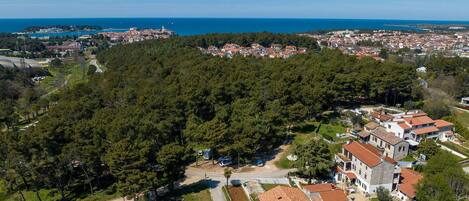 An aerial view of a residential area with houses, a swimming pool, and a dense forest.