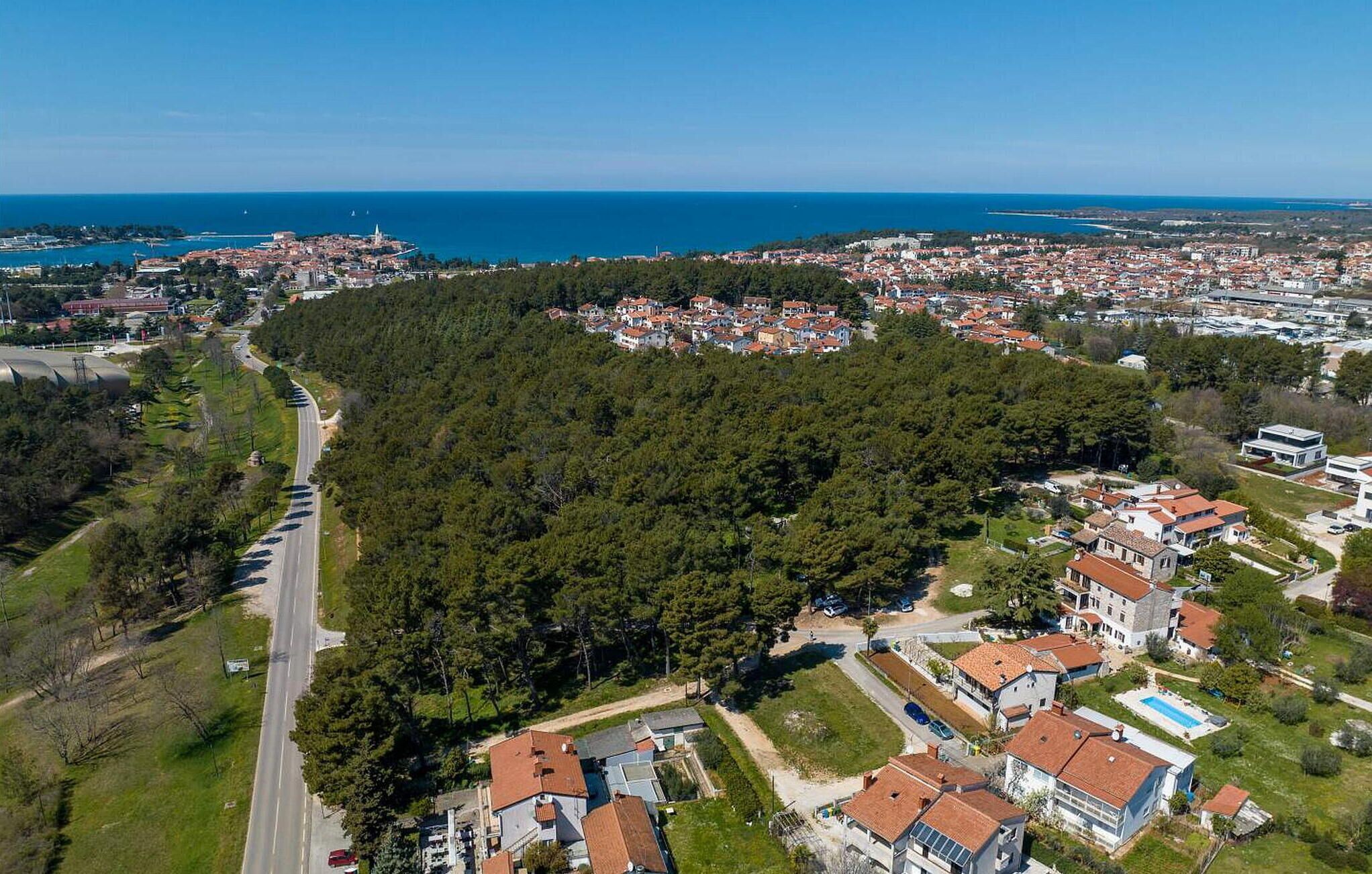 An aerial view of a coastal town with a densely forested area, a main road, and residential buildings with red-tiled roofs.