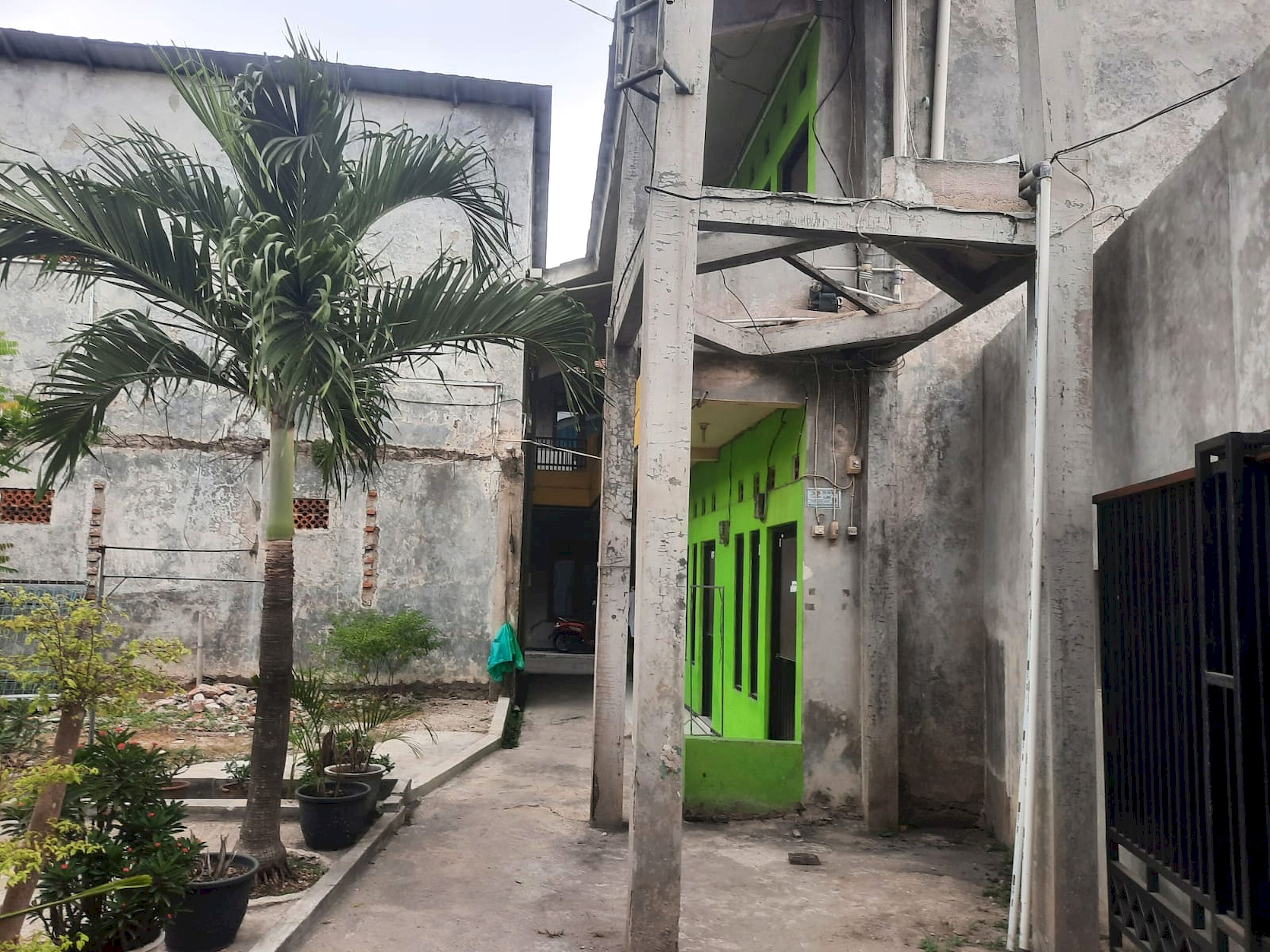 A narrow alleyway with concrete walls, a green door, and potted plants.