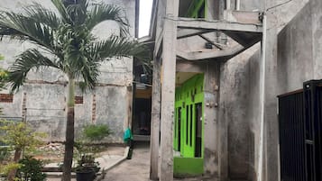 A narrow alleyway with concrete walls, a green door, and potted plants.