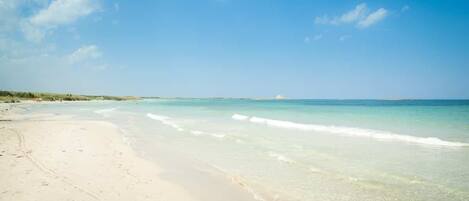 Tumbonas y toallas de playa