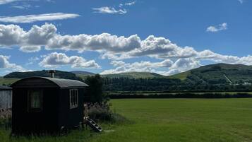 Chalet | Property grounds