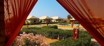 Discovery Desert Camps