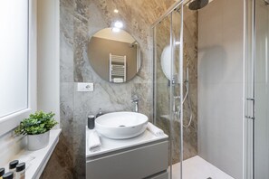 Shower, hair dryer, bidet, towels