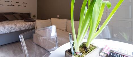 A modern living room with a sofa, a glass coffee table, and a potted plant.