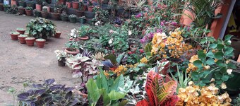 Chandragiri -romantic and traditional home for holiday vacation 