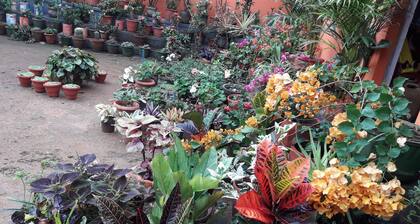 Chandragiri -romantic and traditional home for holiday vacation