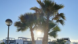 A modern building with a pool area and palm trees. - Groundfloor Oasis Beach IX Punta Prima (Torrevieja)