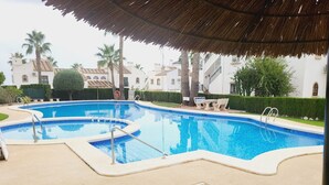 A swimming pool with a thatched roof overhead, surrounded by well-maintained grass and palm trees.