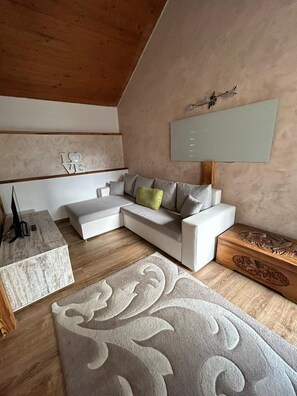 Living area - Casa Edera  (Locarno)