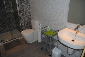 Regadera, secadora de cabello, toallas 