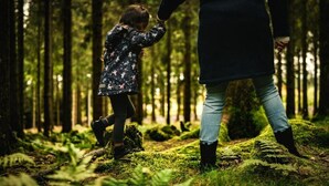 A forest scene with a person and a child holding hands.