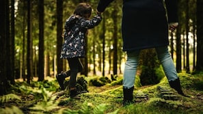 Hiking