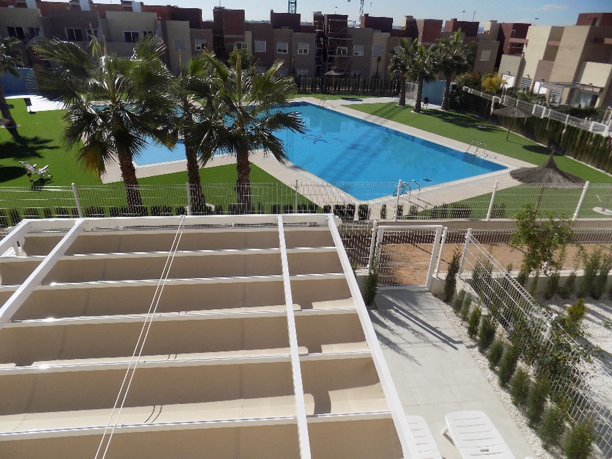 Une piscine entourée de palmiers et un espace clos avec des chaises longues.