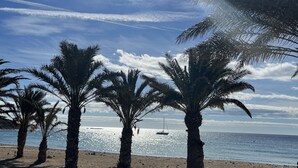A beach with palm trees and a clear sky. - Penthouse Oasis beach II La zenia (La Zenia)