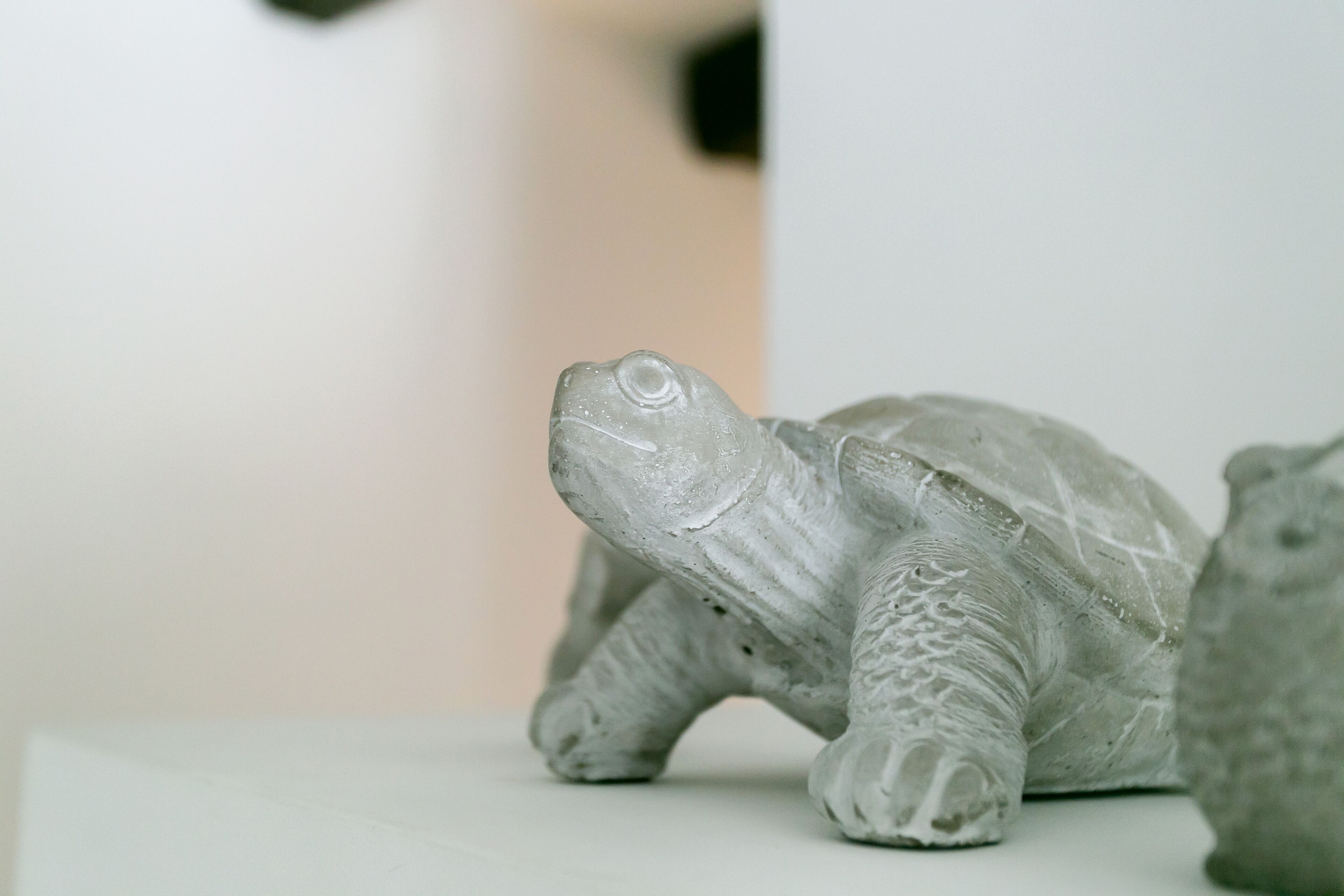 Escultura de tortuga de pedra sobre una superfície blanca.