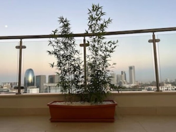 Property grounds - Fancy 1 Bed Luxury suite with City View
(Nairobi)