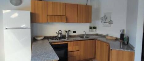 Fridge, oven, stovetop, electric kettle