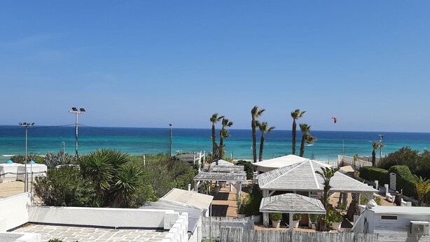Une vue sur la côte, avec un ciel dégagé, une plage et quelques palmiers.