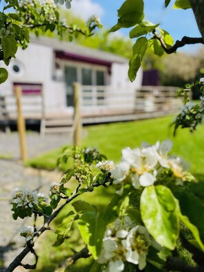 Exterior detail - A lee wick farm accommodation that sleeps 4 guests  in 1 bedroom (Clacton on Sea)