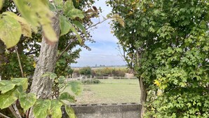 A view through a garden with a stone wall, trees, and a grassy field in the background. - MegaPod 1 at Lee Wick Farm Glamping (Clacton on Sea)