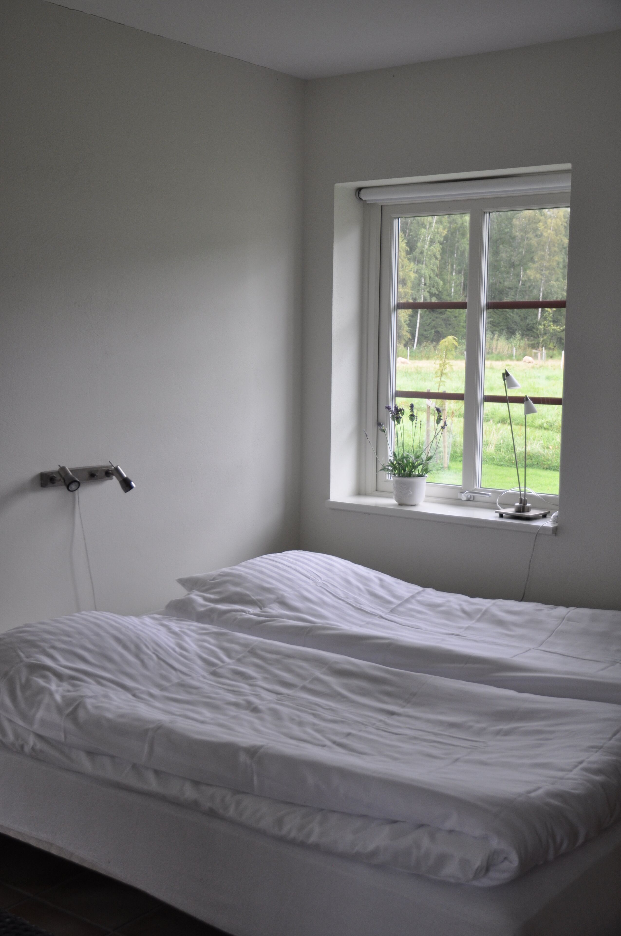 A bedroom with two single beds, a window with a view of greenery, and a bedside table with a lamp.