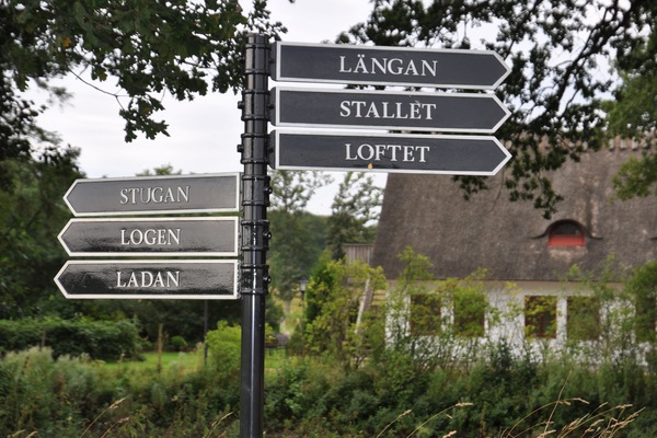 Trädgård
