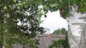 Ein traditionelles Haus mit einem Strohdach, umgeben von üppigem Grün und einem kleinen Teich.