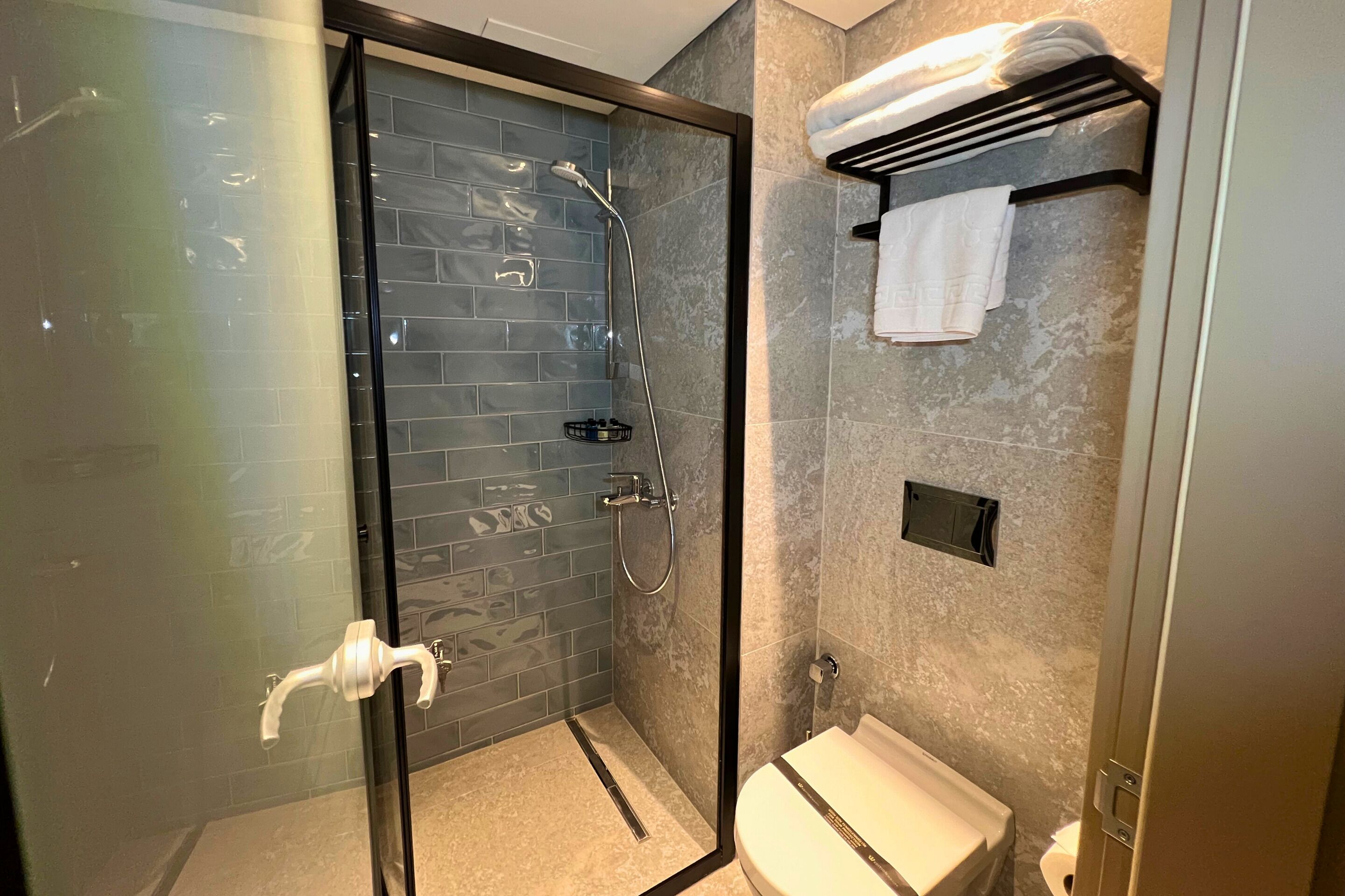 Un baño moderno con ducha de vidrio, inodoro y perchero para toallas.