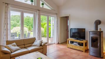 Smart TV, chimenea, reproductor de DVD y estéreo