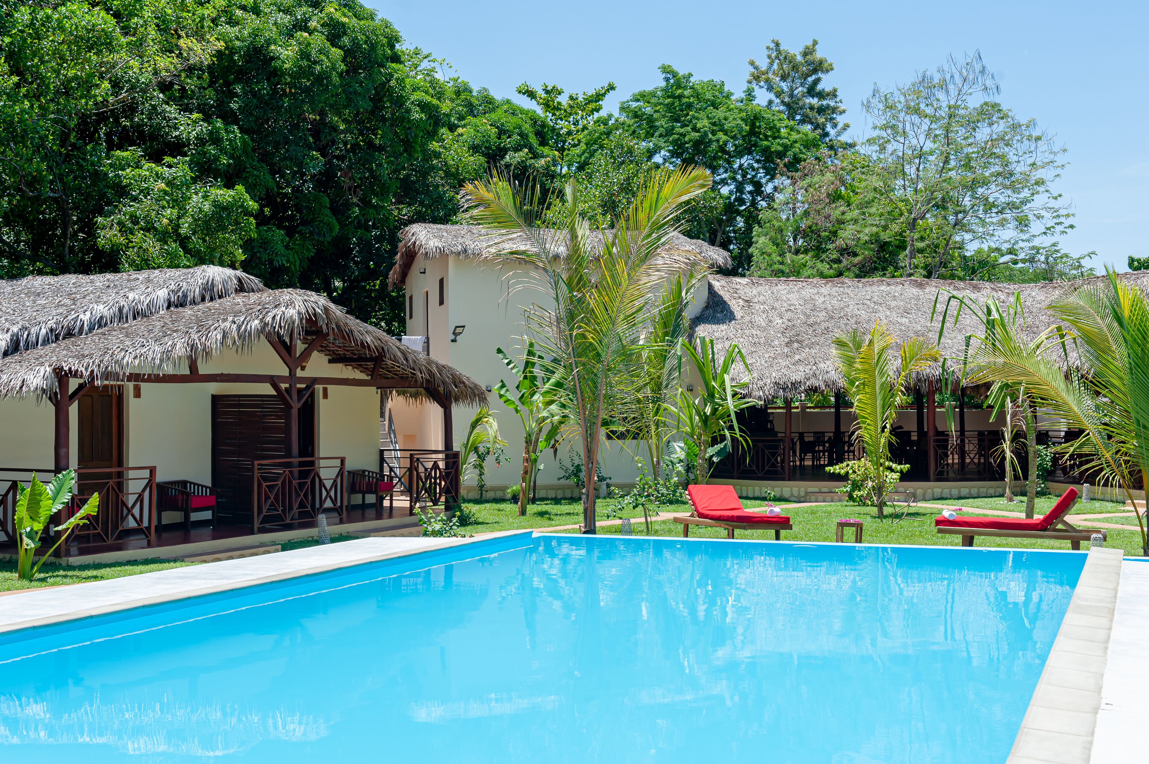 A pool area with a thatched-roof building, lounge chairs, and a clear blue pool.